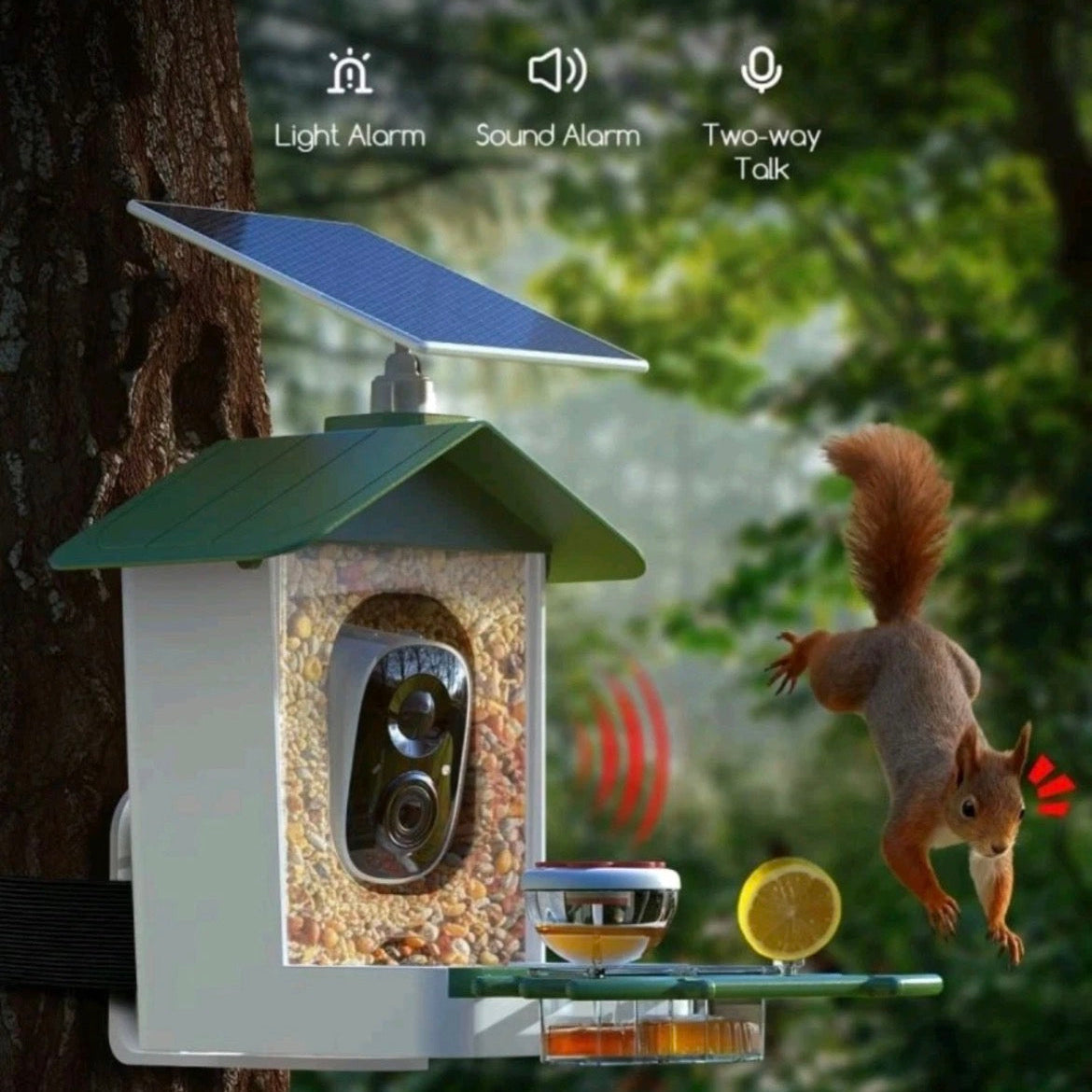 This smart bird feeder features an integrated AI-powered camera designed for wildlife observation and squirrel deterrence.
Key Features
 Deterrence System: Equipped with a built-in light alarm, sound alarm, and two-way talk speaker to scare off squirrels