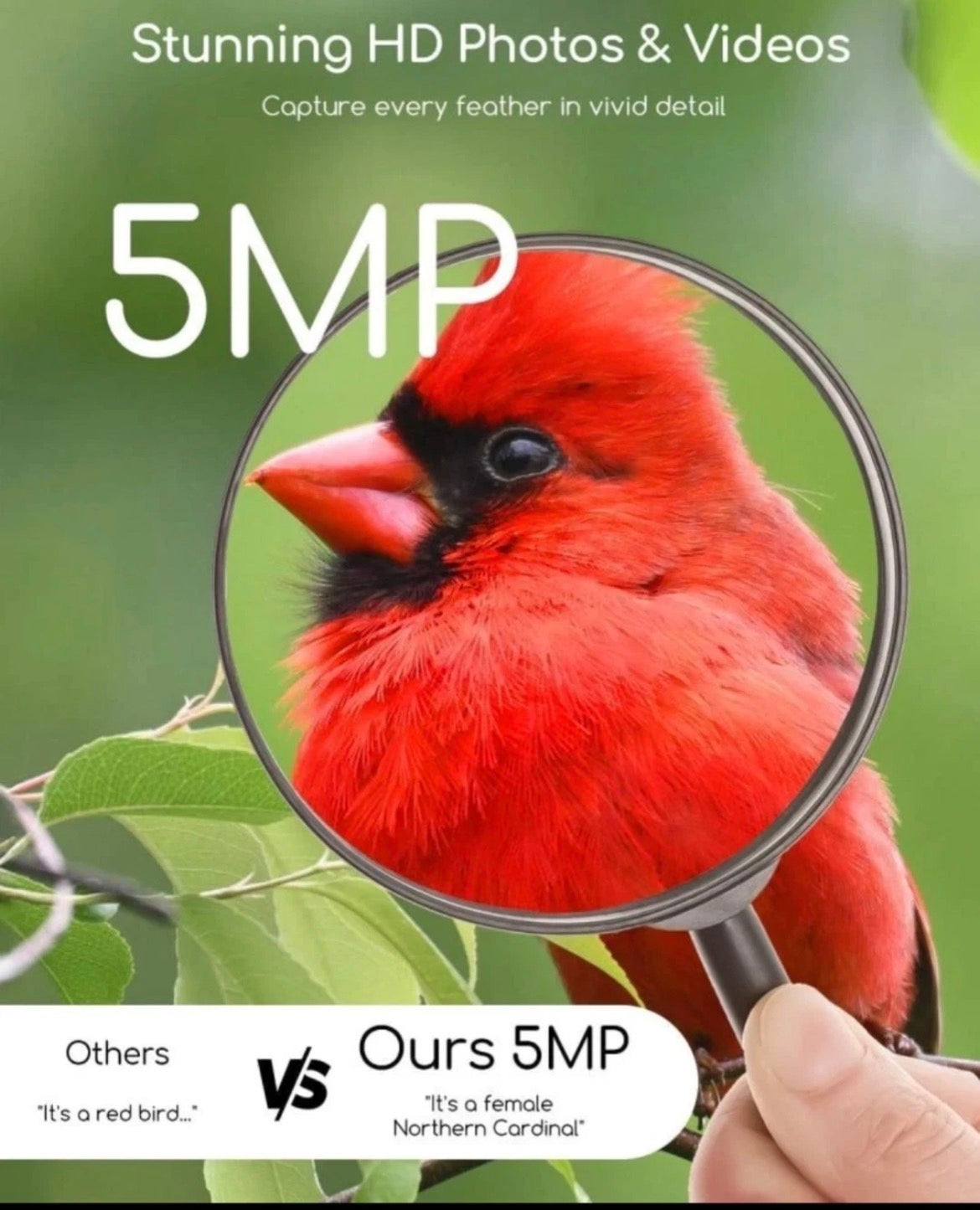 This smart bird feeder features an integrated AI-powered camera designed for wildlife observation and squirrel deterrence.
Key Features
 Deterrence System: Equipped with a built-in light alarm, sound alarm, and two-way talk speaker to scare off squirrels